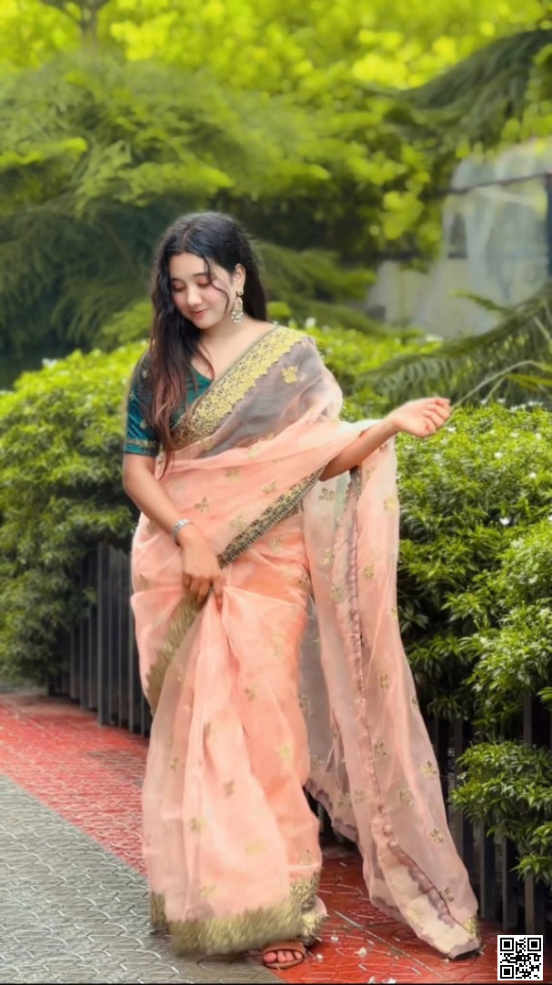 অর্গানজা শাড়ি – ১২ হাত লম্বা | ভেলভেট ব্লাউজ পিস সহ | এমব্রয়ডারি ও পাথরের কাজ